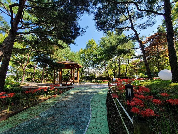 Red flowers and trees along a walking path