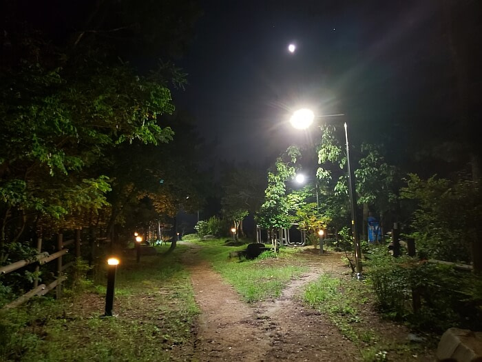 A path at night with a light post and the moon shining