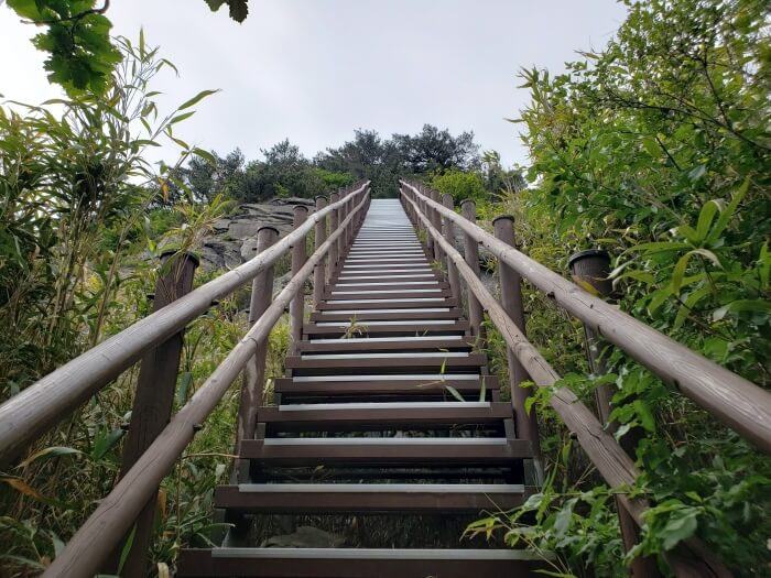 A long set of stairs leading up to a ridge