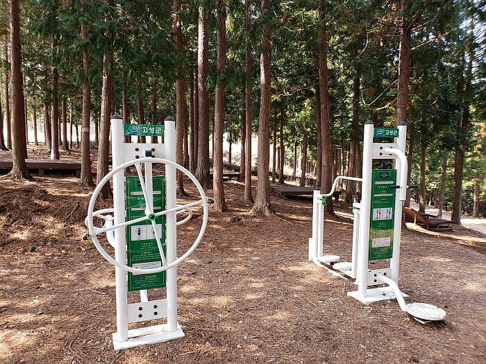 Exercise equipment in Galmobong Forest