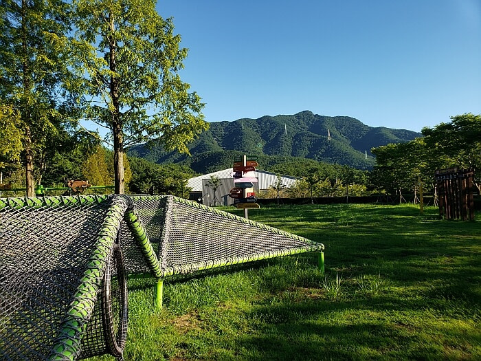 A netted climbing tent next to a grassy field
