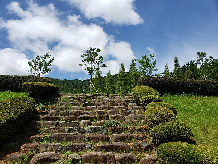 Stone steps with bushes on the sides and a blue sky with white clouds overhead
