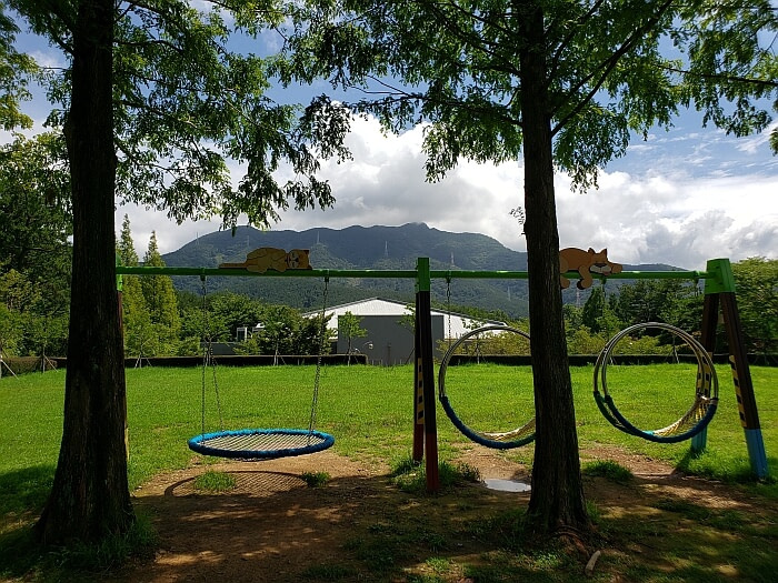 Swing set under trees in the shade