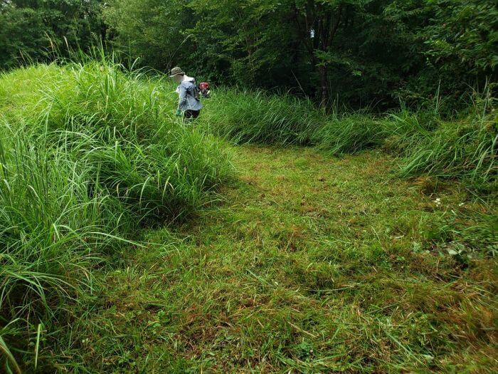 A burial mound with tall grass and short, cut grass next to it