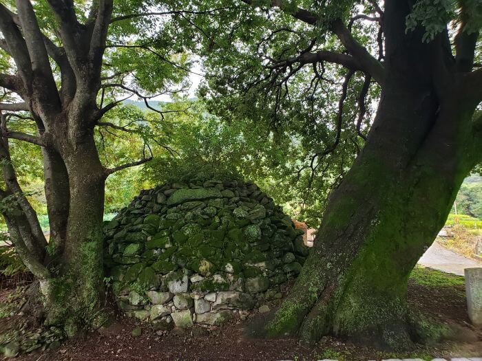 A mossy dome of rocks between two old trees