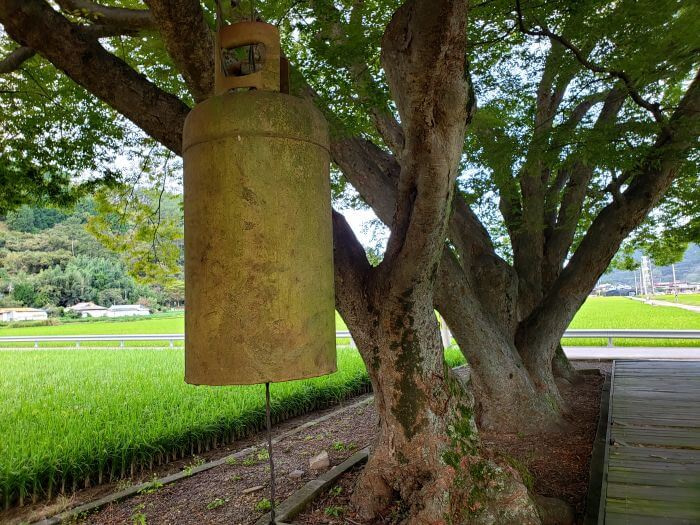 A fairly large metal bell hanging from an old tree