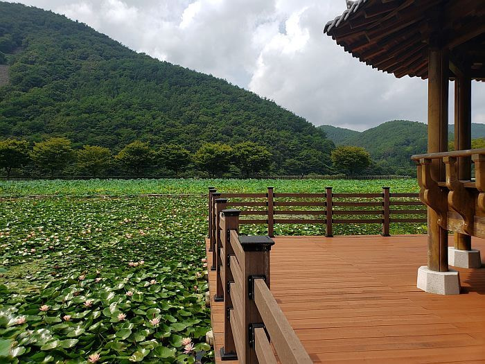 A corner of the deck with the gazebo in the pond