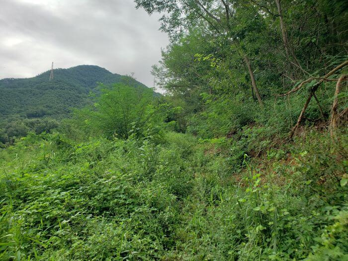 A grassy path up a mountainside