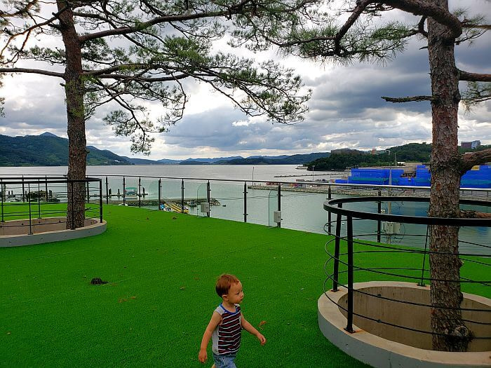 Noah walking on a rooftop with a green turf and trees growing through it