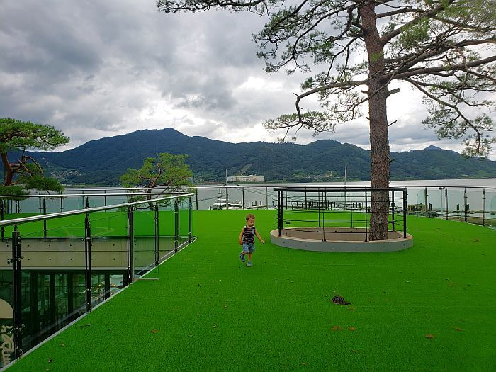 Noah walking on the green turf rooftop with a tree growing through it