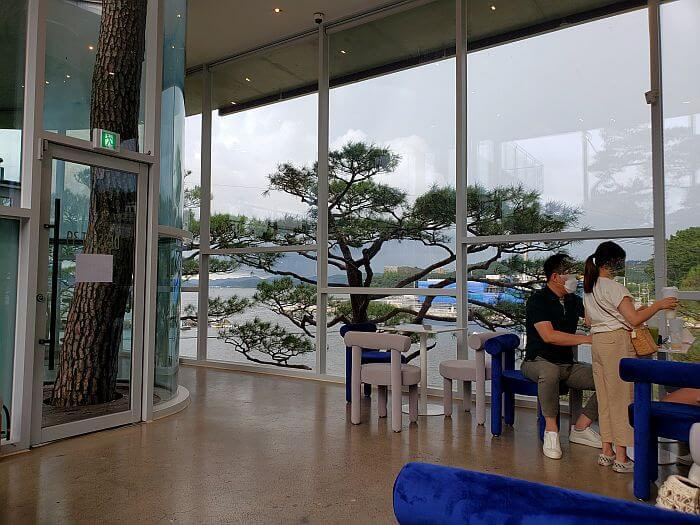 People at a table with large windows and a tree growing through the building