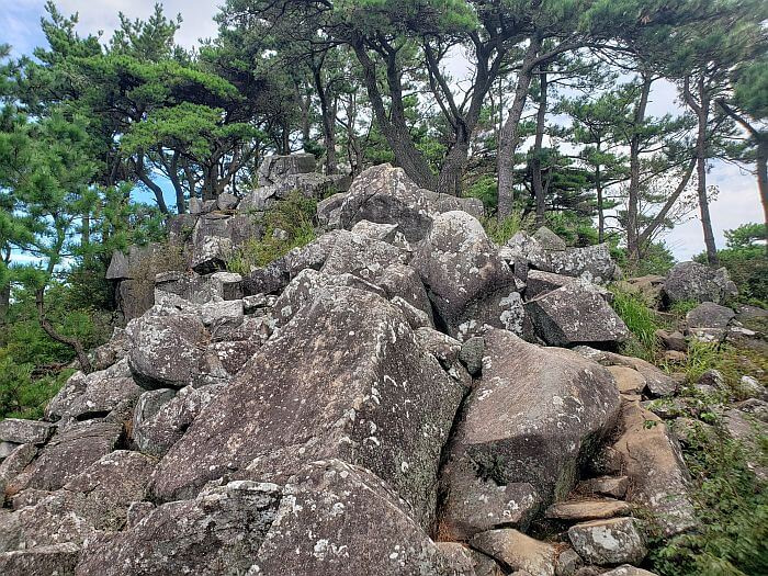 Pile of large rocks below a mountain peak surrounded by pines