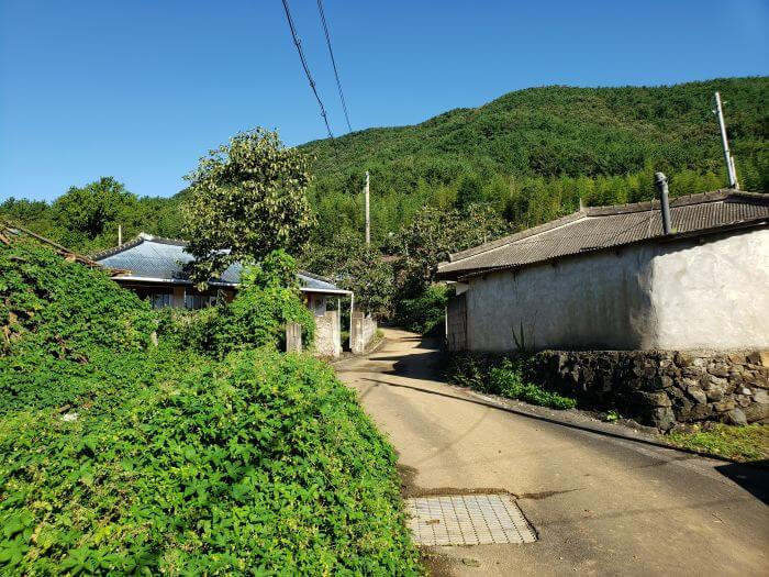 A road through a village near a mountainside