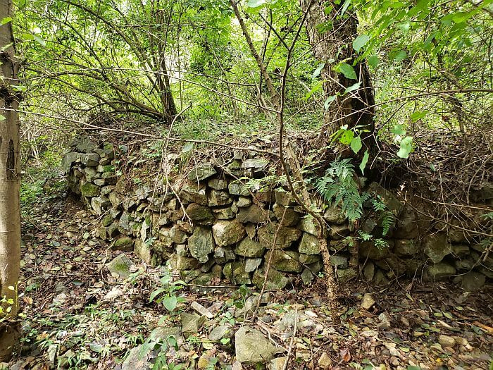 Remnants of a rock wall overgrown in the forest of Gujeolsan Mountain