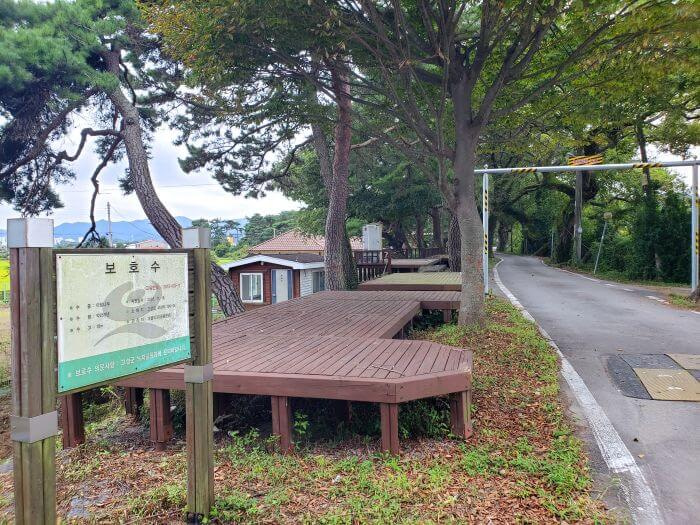 A sign posted near wooden platforms along a street lined with trees