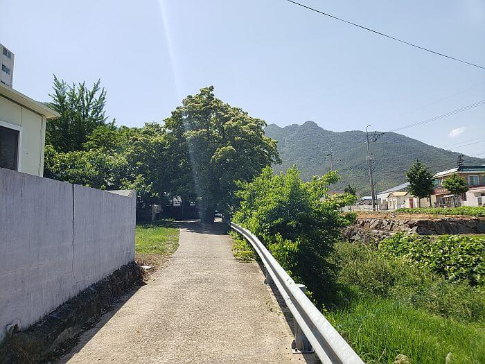 A road along a stream leading to a tree with Georyusan Mountain in the background
