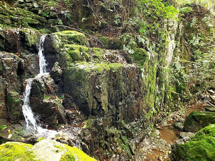 A small waterfall down mossy rocks into a stream below