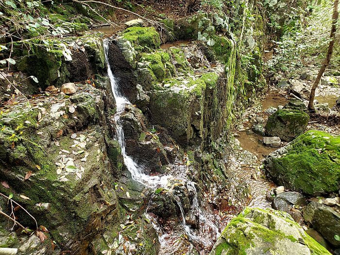 A small waterfall feeding a stream below mossy rocks
