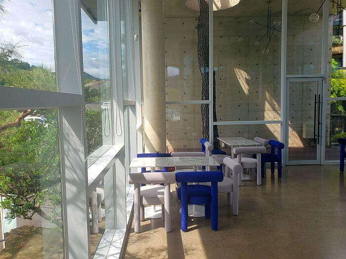 Sun shining through a window onto tables and chairs with a tree growing through the ceiling