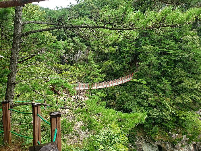 A red suspension bridge among the trees