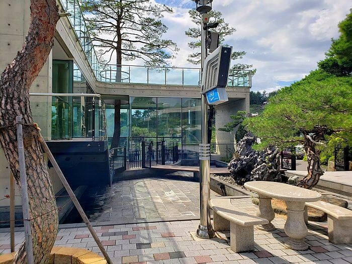 A tree growing through the building with a stone picnic table outside