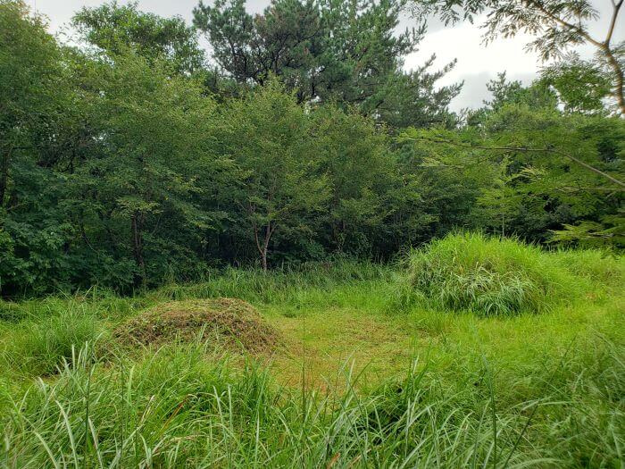 Two burial mounds in grassy area with one of them cut