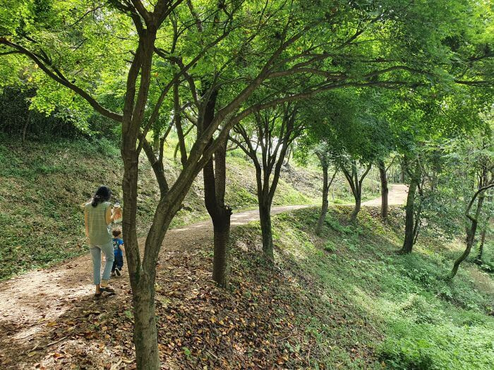 Alice walking with baby Noah down a trail along trees near a bamboo forest