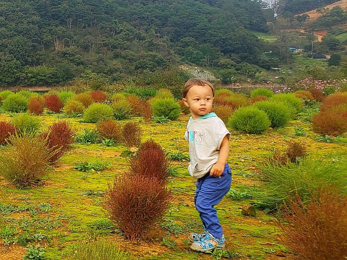 Baby Noah looking over his shoulder standing next to brown and green bushes