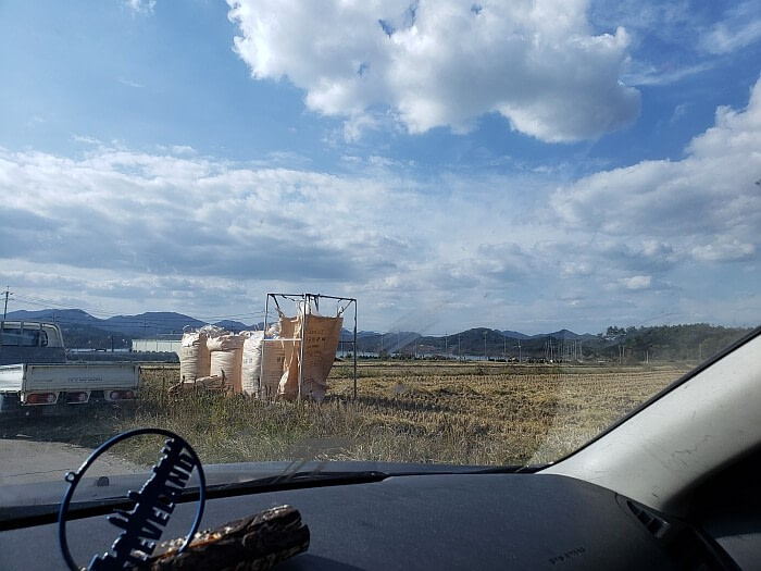 1000 kg bags of rice in a field next to a truck