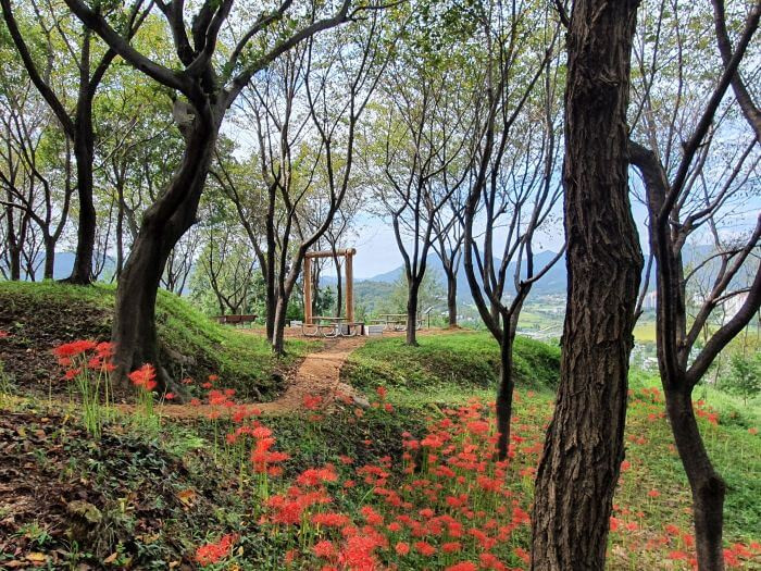 A large, wooden swing on a cliff among grass, trees, and red flowers