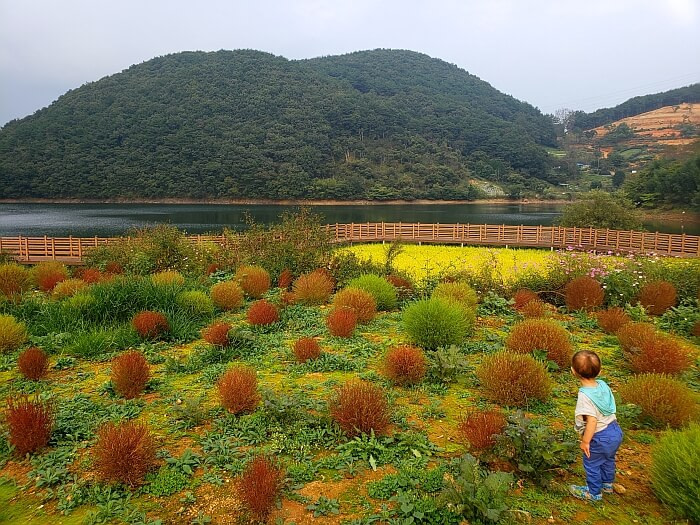 Noah looking out at a rice paddy and reservoir next to a mountain