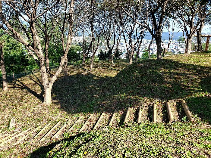 Stairs leading down a grassy hill to a bamboo trail