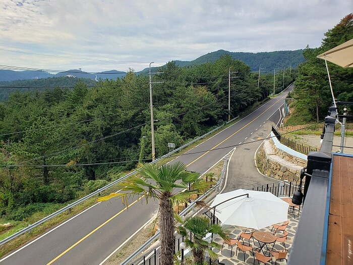 A look down a country road in South Korea with a café and nothing but a bunch of trees across the street
