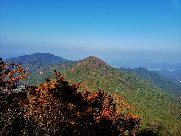 An autumn-tree-covered mountain peak