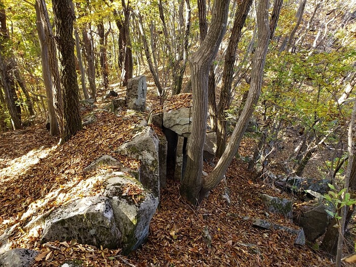Interesting shaped rocks in the mountainside forest with fallen leaves