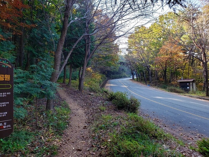 A dirt path along a paved road with colorful trees