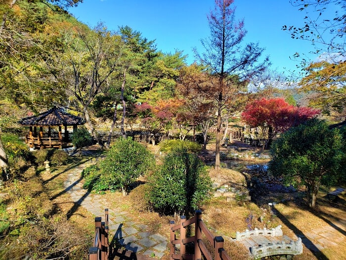 A pavilion and a pond with small trees around it in a park