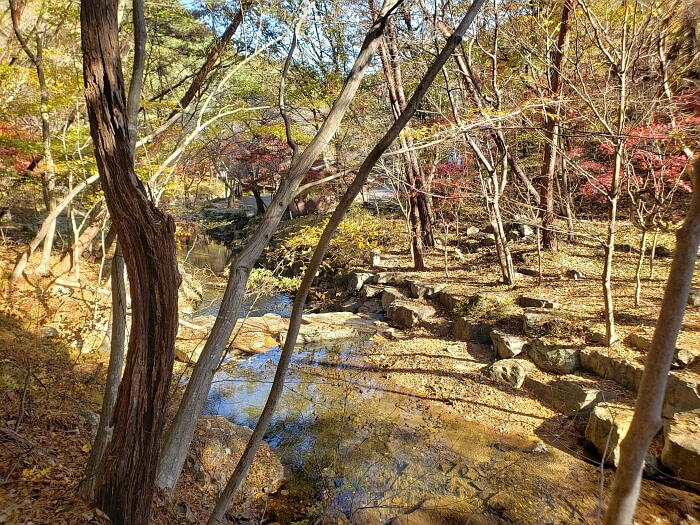 Rocks bridging the distance across a stream with clear water