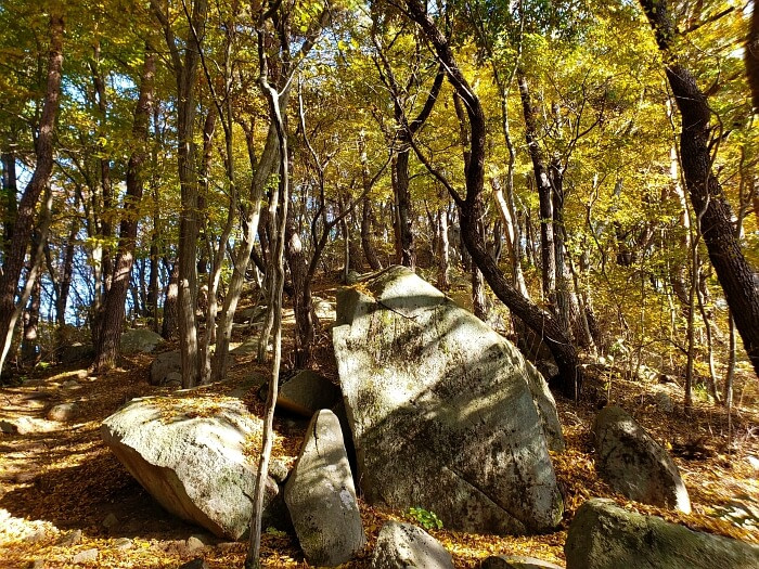 Rocks under yellow autumn trees on a mountainside
