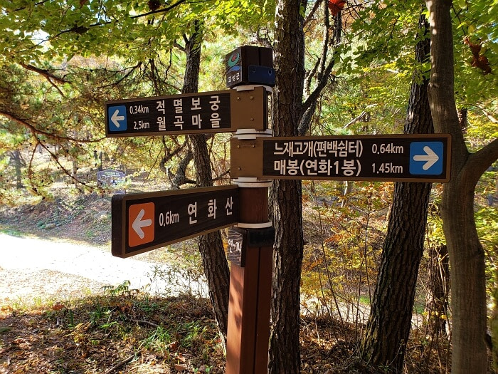 Trail markers and arrows at Wolgok Ssalijae