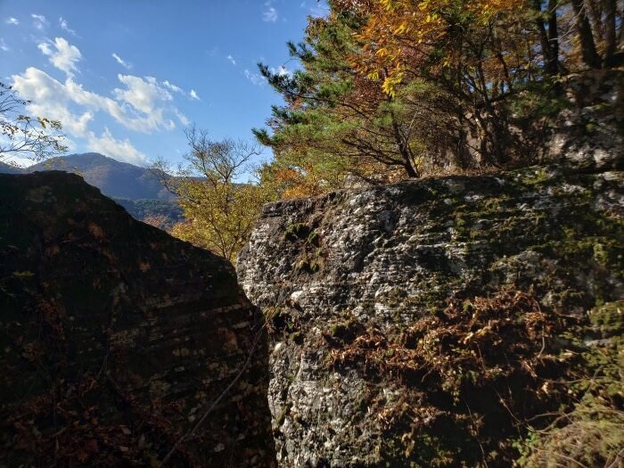 A rocky cliff with colorful trees on top