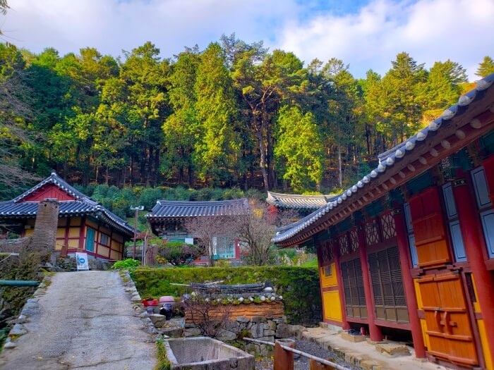 A driveway leading through temple grounds