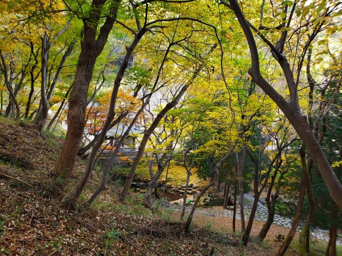 A temple behind autumn trees