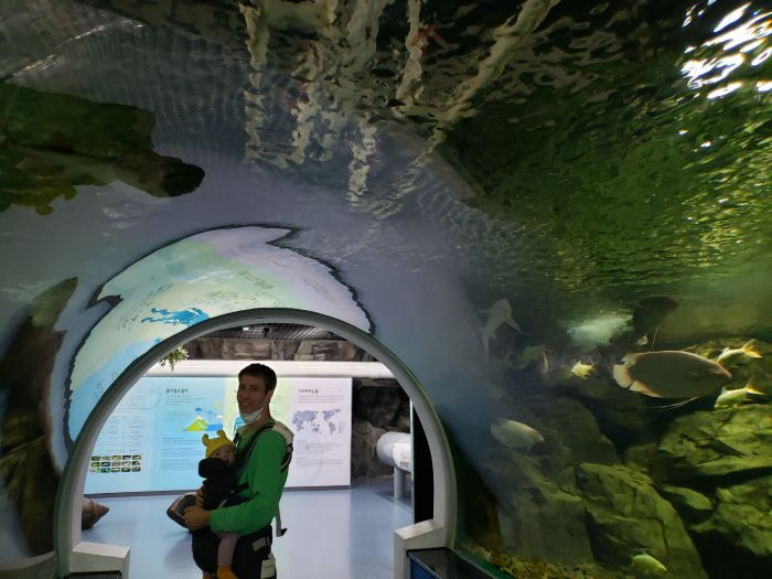 Nate and Noah under a glass tunnel in a Korean aquarium