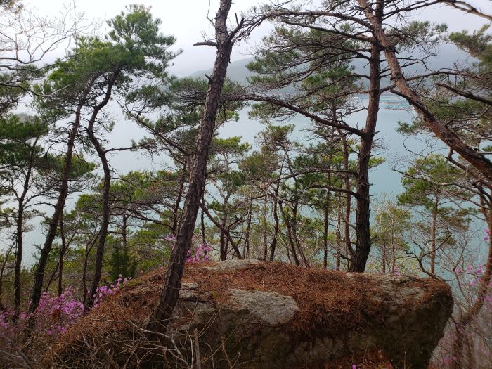 A large rock among trees on Boli Island