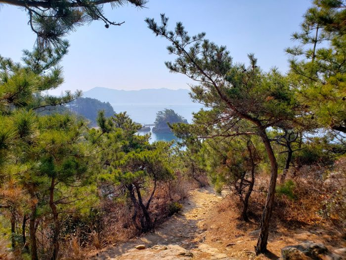 A rocky, dirt trail through the coastal forest with an island in the distance