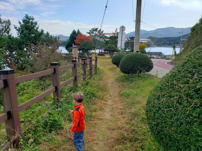 Toddler on a grassy path along a fence at a park in Korea