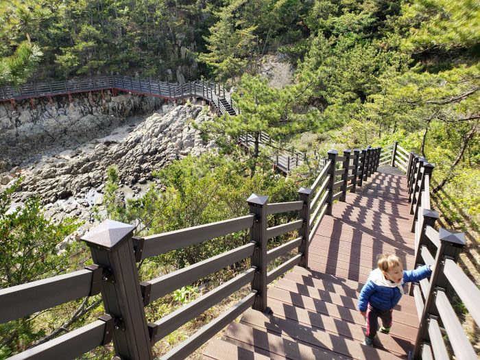Toddler walking up stairs in a pine forest trail