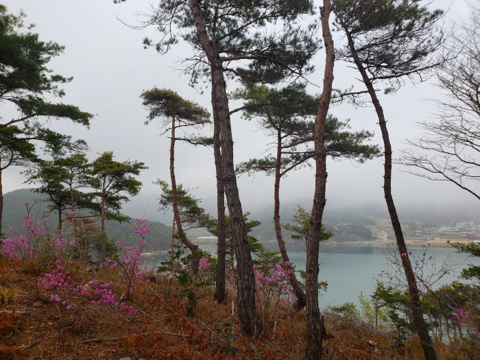A village in view from Boli Island
