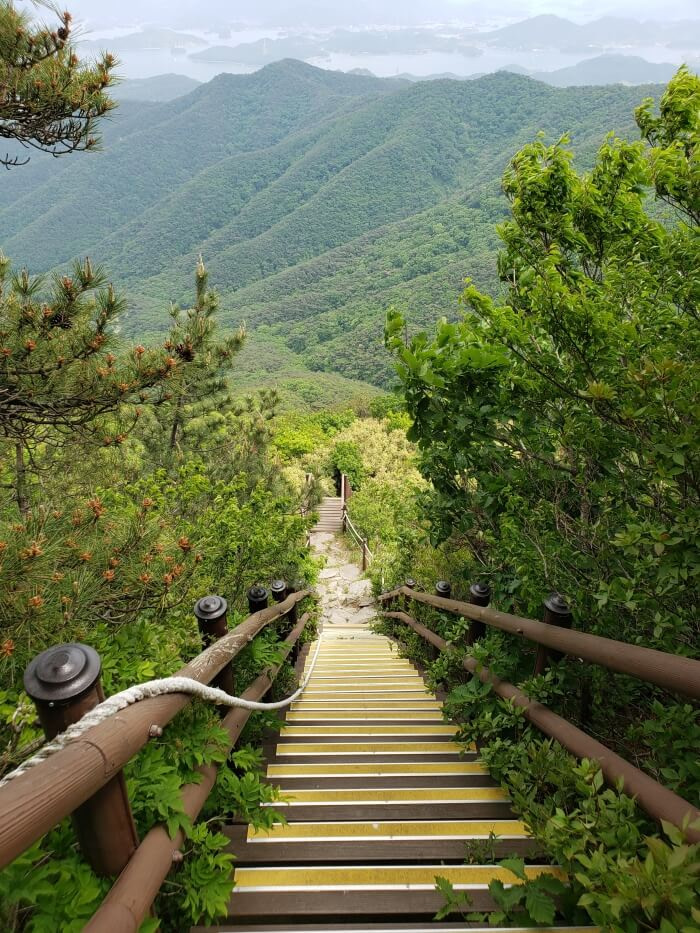 A long set of stairs with a rope along the handrail leading down to bamboo